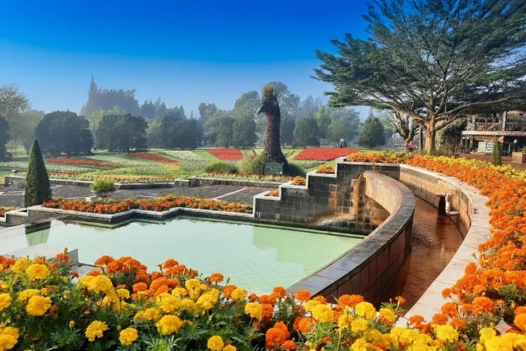 wisata alam bogor - Moladin