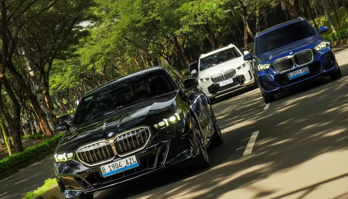 bmw festival of joy - Moladin