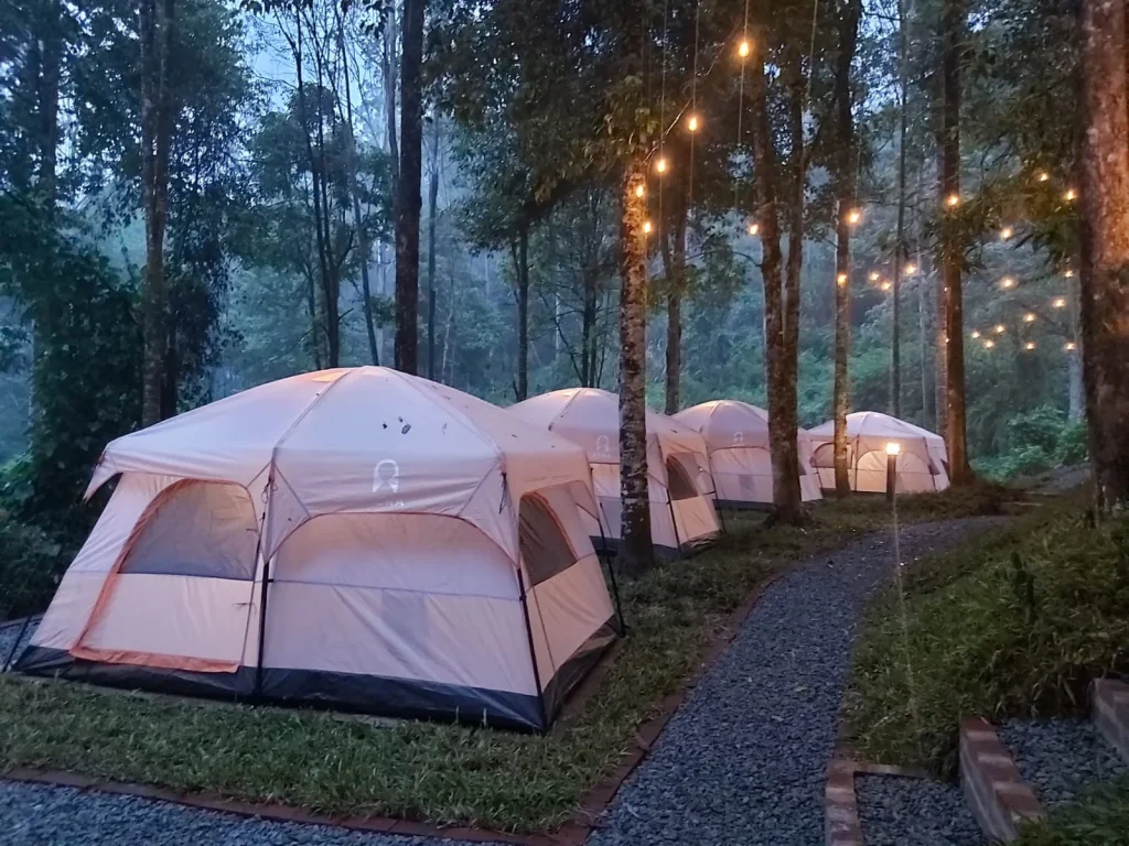 13 Tempat Camping di Ciwidey, Cocok buat Libur Nataru! Green Hill Park TWA Cimanggu tempat camping di Ciwidey - Moladin