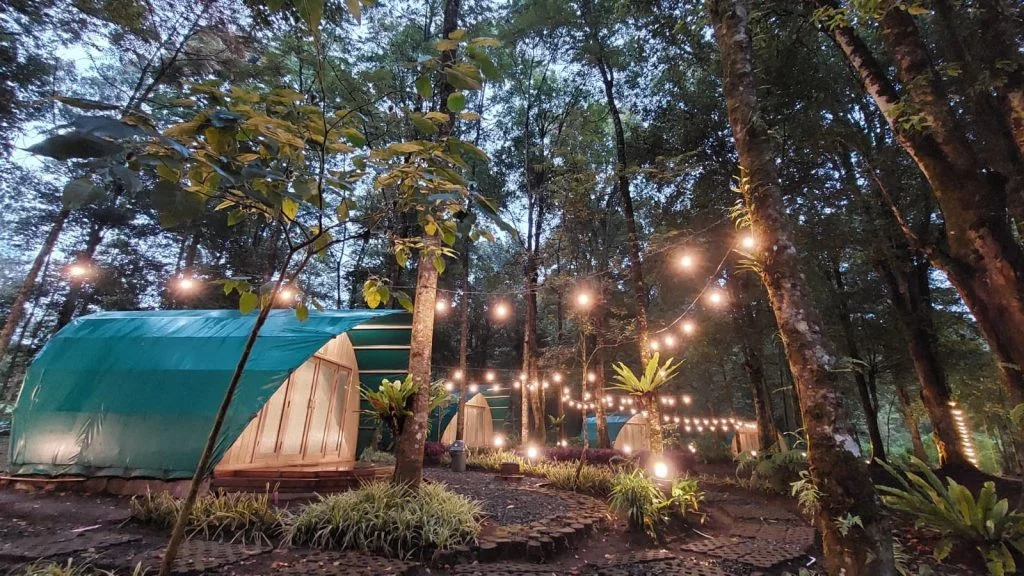 13 Tempat Camping di Ciwidey, Cocok buat Libur Nataru! Hejo Forest tempat camping di Ciwidey - Moladin