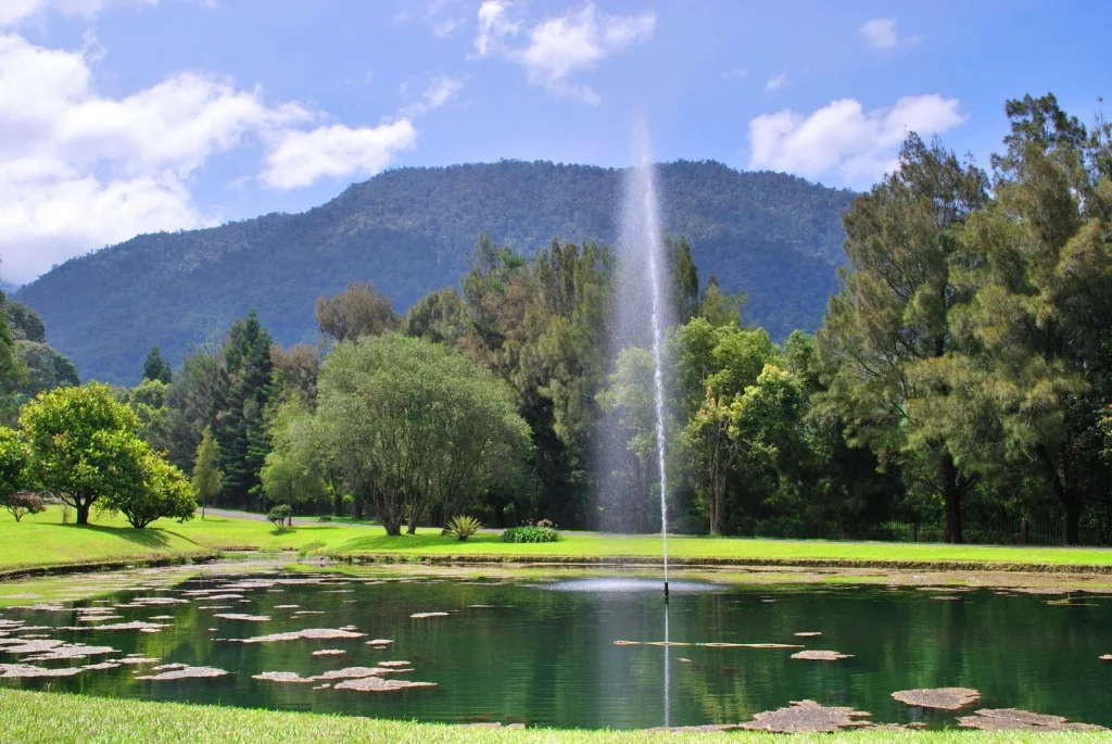 Kebun Raya Cibodas wisata Puncak Bogor - Moladin