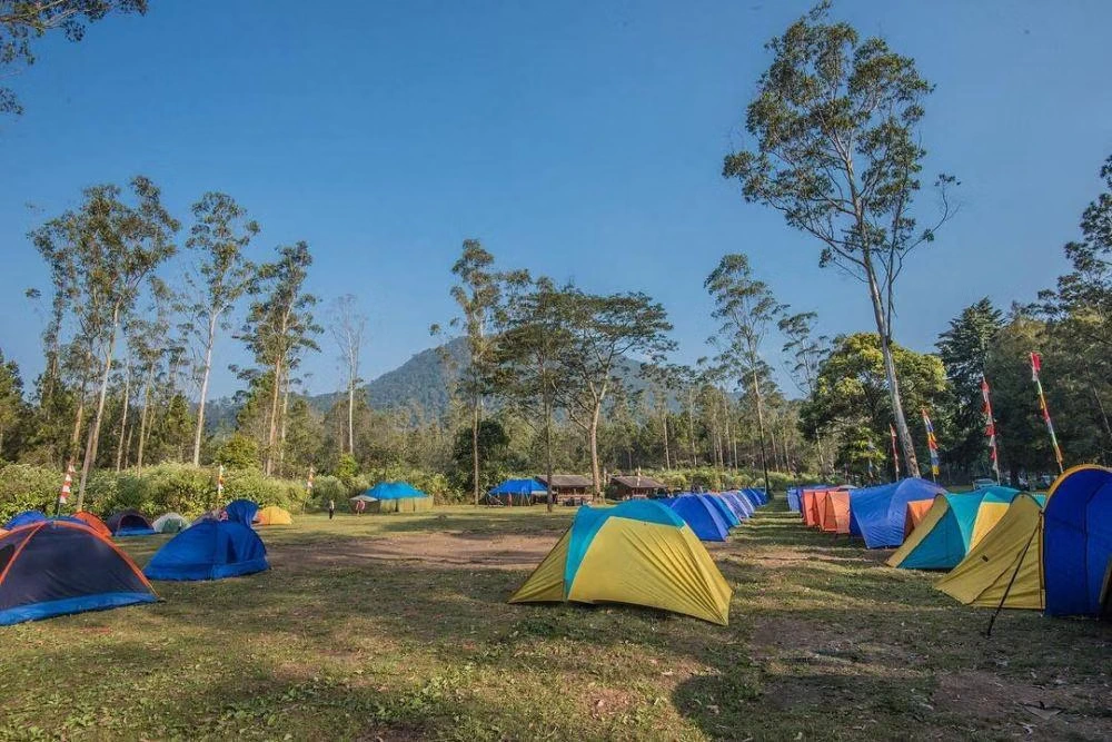 13 Tempat Camping di Ciwidey, Cocok buat Libur Nataru! Ranca Upas tempat camping di Ciwidey - Moladin