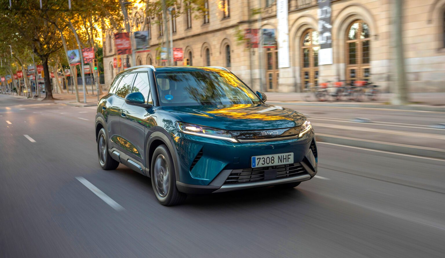 byd dolphin g - Moladin