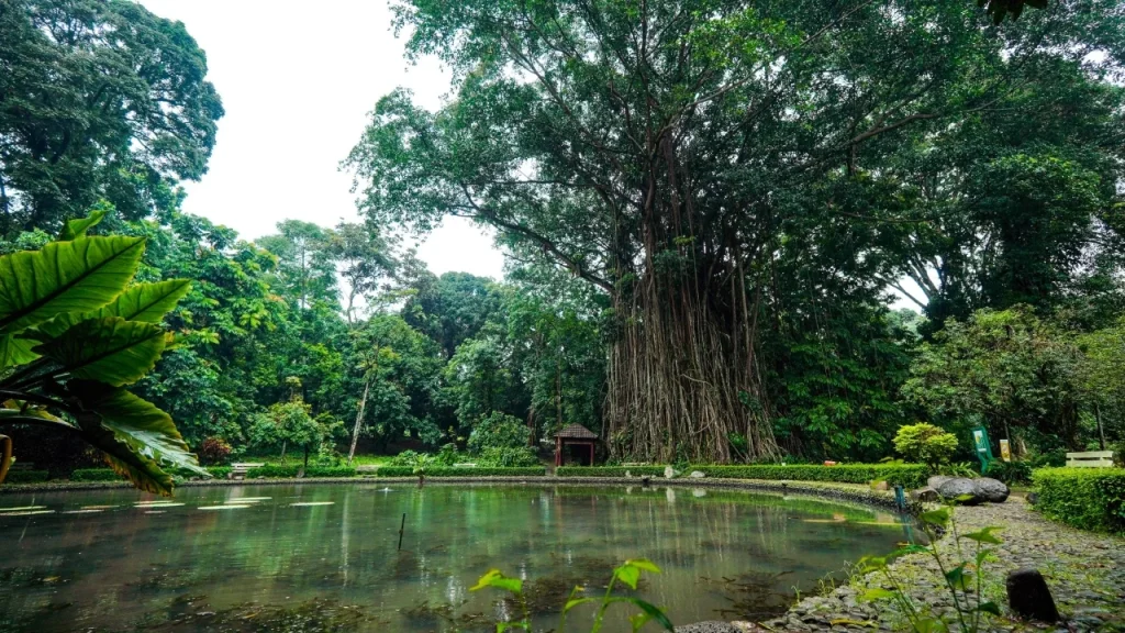 tempat wisata dekat stasiun bogor