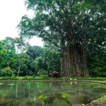 20 Tempat Wisata Dekat Stasiun Bogor, Cocok untuk Liburan Singkat - Tuwaga