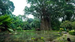 20 Tempat Wisata Dekat Stasiun Bogor, Cocok untuk Liburan Singkat