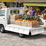 10 Daftar Harga Mobil Pick Up Bekas Dibawah 50 Juta