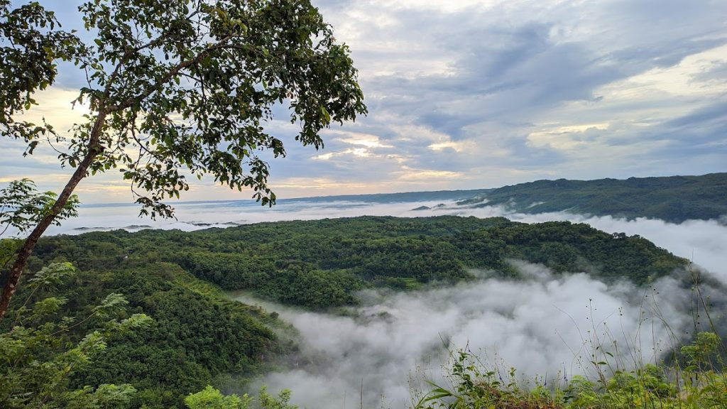 30 Tempat Wisata di Jogja untuk Keluarga Liburan Akhir Tahun! tempat wisata di Jogja untuk keluarga Kebun Buah Mangunan - Moladin