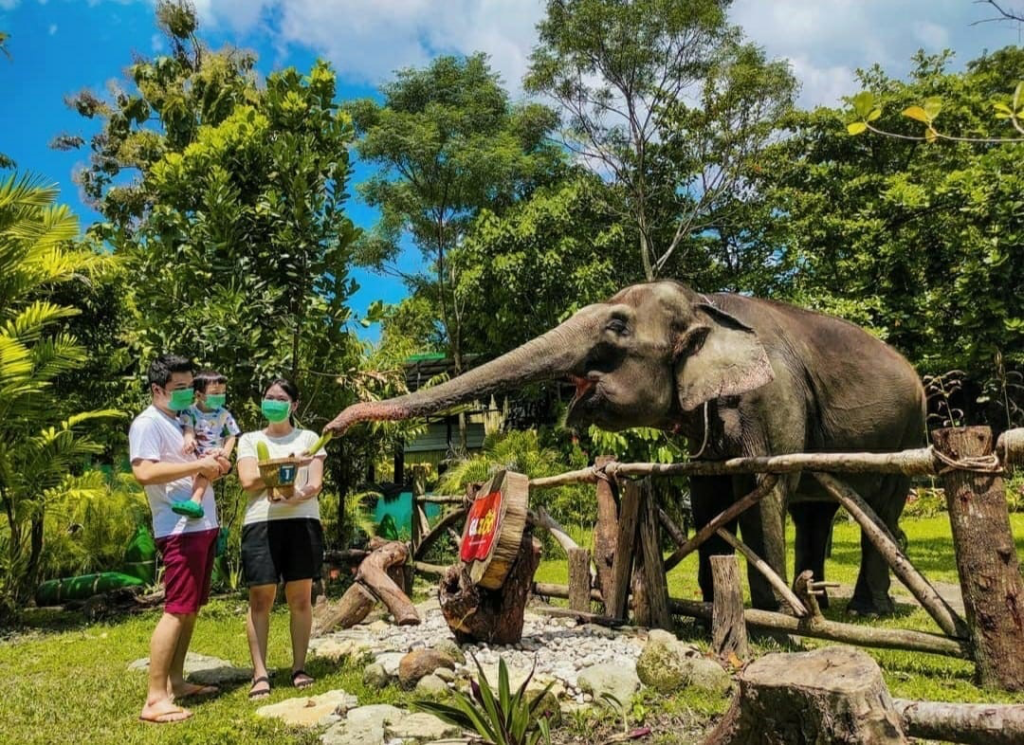 30 Tempat Wisata di Jogja untuk Keluarga Liburan Akhir Tahun! tempat wisata untuk keluarga di Jogja Gembira Loka Zoo - Moladin