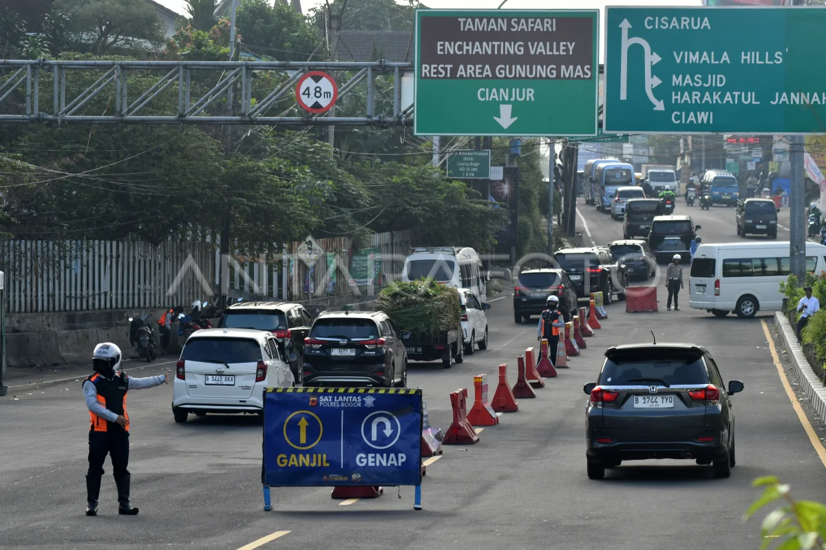 CCTV Puncak Live Hari Ini: Cara Pantau Jalur Gadog, Cisarua, dan Gunung Mas