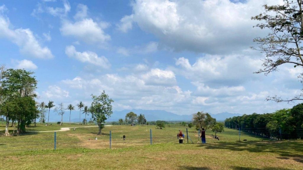 Wisata Magelang Gratis :11 Destinasi Seru untuk Liburan Hemat wisata magelang gratis