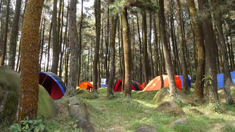 11 Tempat Camping di Sentul: Cocok untuk Liburan Akhir Pekan! tempat camping di sentul