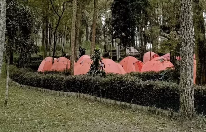 20 Tempat Camping di Malang Paling Favorit untuk Liburan tempat camping di Malang greenrock campers - Moladin