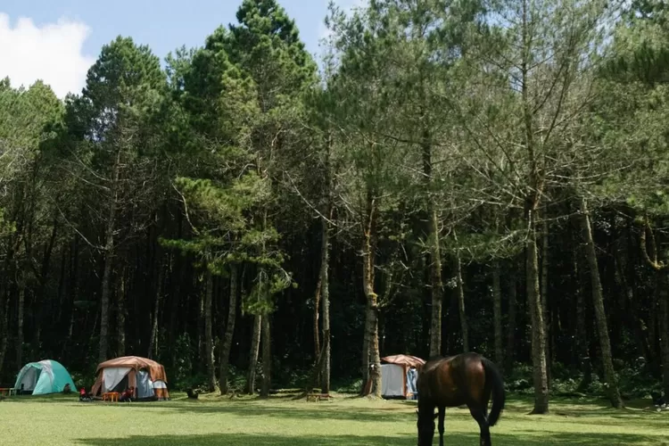 tempat camping di lembang - Moladin
