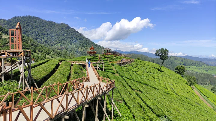 10 Rekomendasi Tempat Camping di Pangalengan Terbaik 2025 tempat camping di pangalengan - Moladin