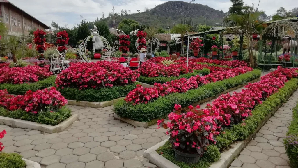 tempat wisata anak di Bandung Taman Bunga Begonia Lembang - Moladin