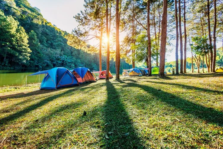 20 Tempat Camping di Malang Paling Favorit untuk Liburan tempat camping di Malang Kebun Rojo Camp - Moladin