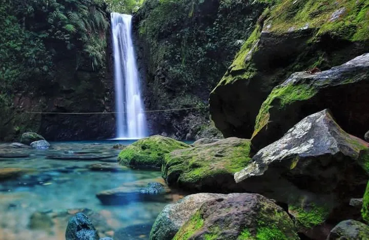 tempat wisata di bogor yang sejuk - Moladin
