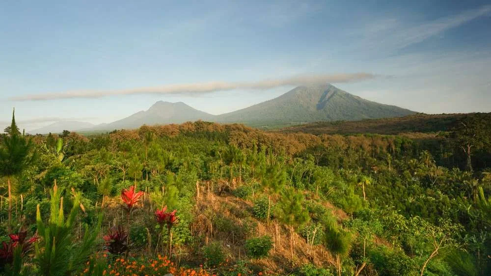 wisata Banyuwangi yang lagi hits puncak asmoro - Moladin