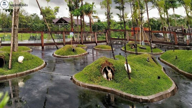 26 Wisata Dekat Stasiun Malang, Tinggal Jalan Kaki! wisata dekat stasiun Malang Milkindo Green Farm - Moladin
