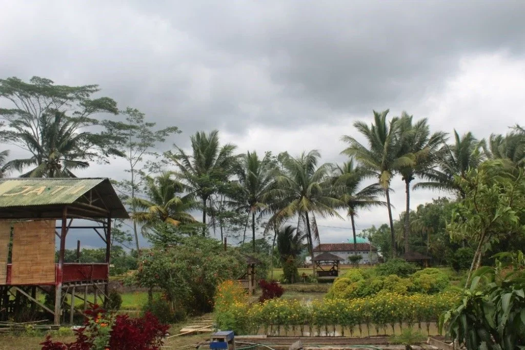 26 Wisata Dekat Stasiun Malang, Tinggal Jalan Kaki! wisata dekat stasiun Malang Taman Refugia Jati - Moladin