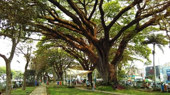 26 Wisata Dekat Stasiun Malang, Tinggal Jalan Kaki! wisata dekat stasiun malang Taman Trunojoyo - Moladin