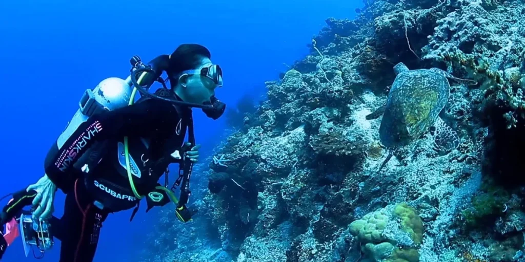 wisata di Banyuwangi yang lagi hits bangsring underwater - Moladin