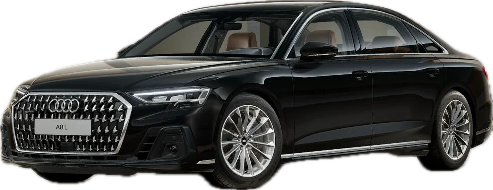 Brilliant Black Solid