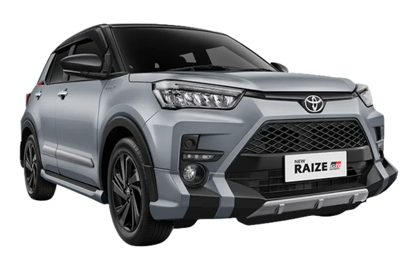 Black-Silver Metallic