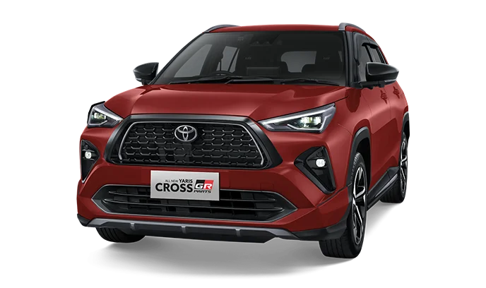 Dark Red M.M (Spot Order*)