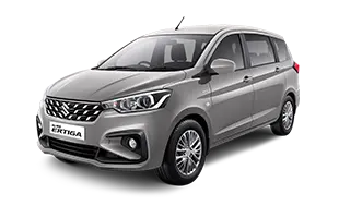 Metallic Silky Silver