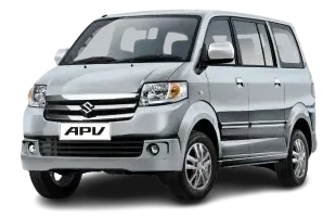 Silky Silver Metallic