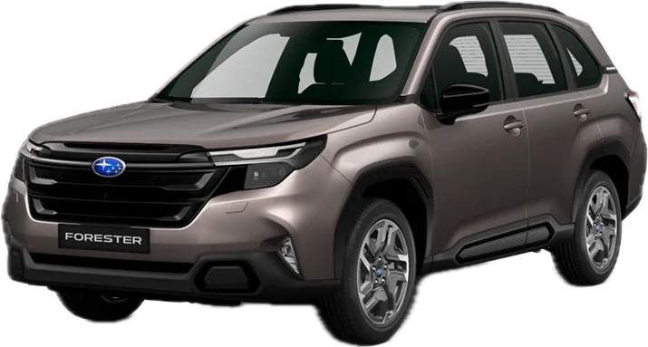 Briliant Bronze Metallic