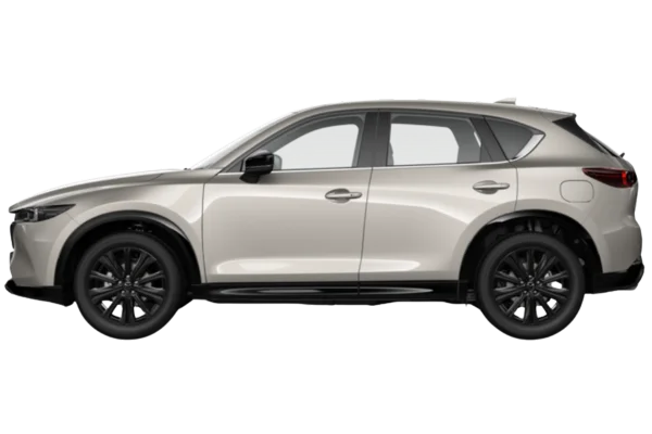 Platinum Quartz Metallic