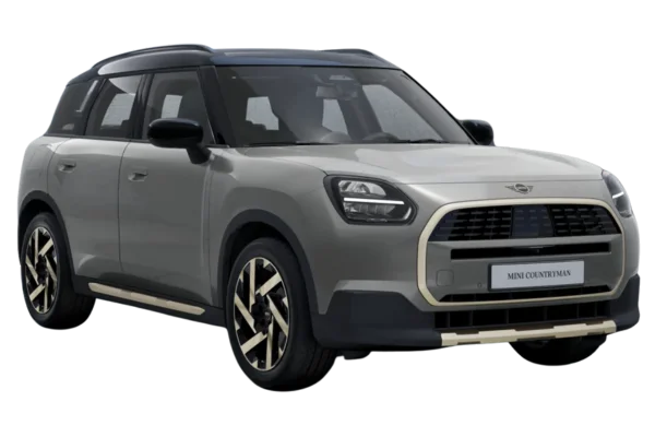 Melting Silver with Black Roof