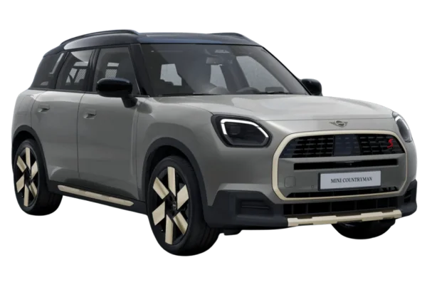 Melting Silver with Black Roof