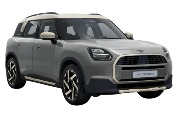 Melting Silver with Silver Roof