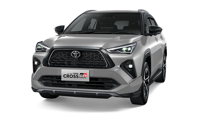 Silver Metallic (Spot Order*)