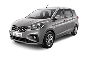 Metallic Silky Silver