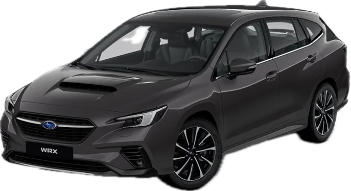 Magnite Grey Metallic