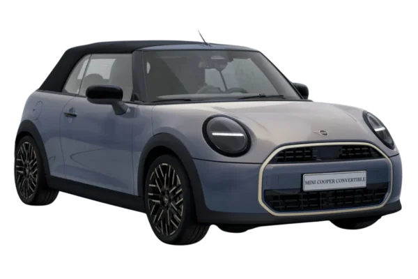 Copper Grey with Black Mirror