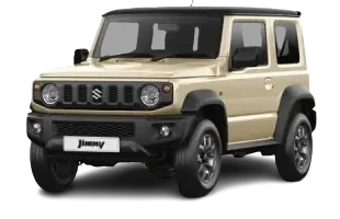 Metallic Chiffon Ivory + Pearl Bluish Black 3