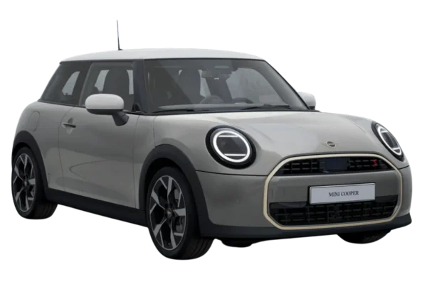 Melting Silver with White Roof