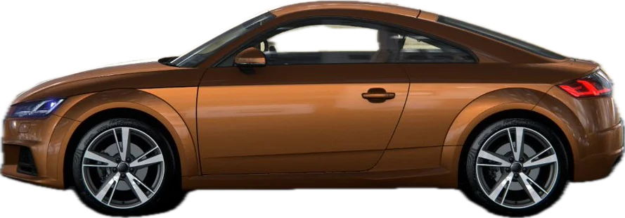 Ipanema Braun Exclusive