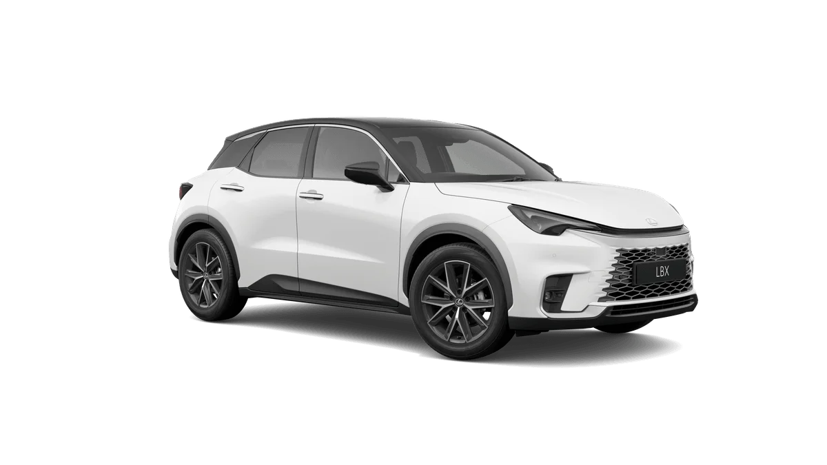 Sonic Quartz Bi-tone