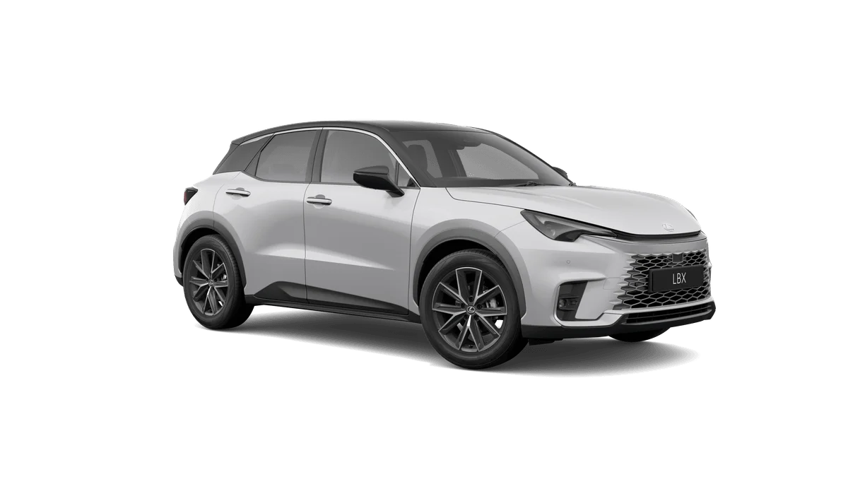 Silver Metallic Bi-tone