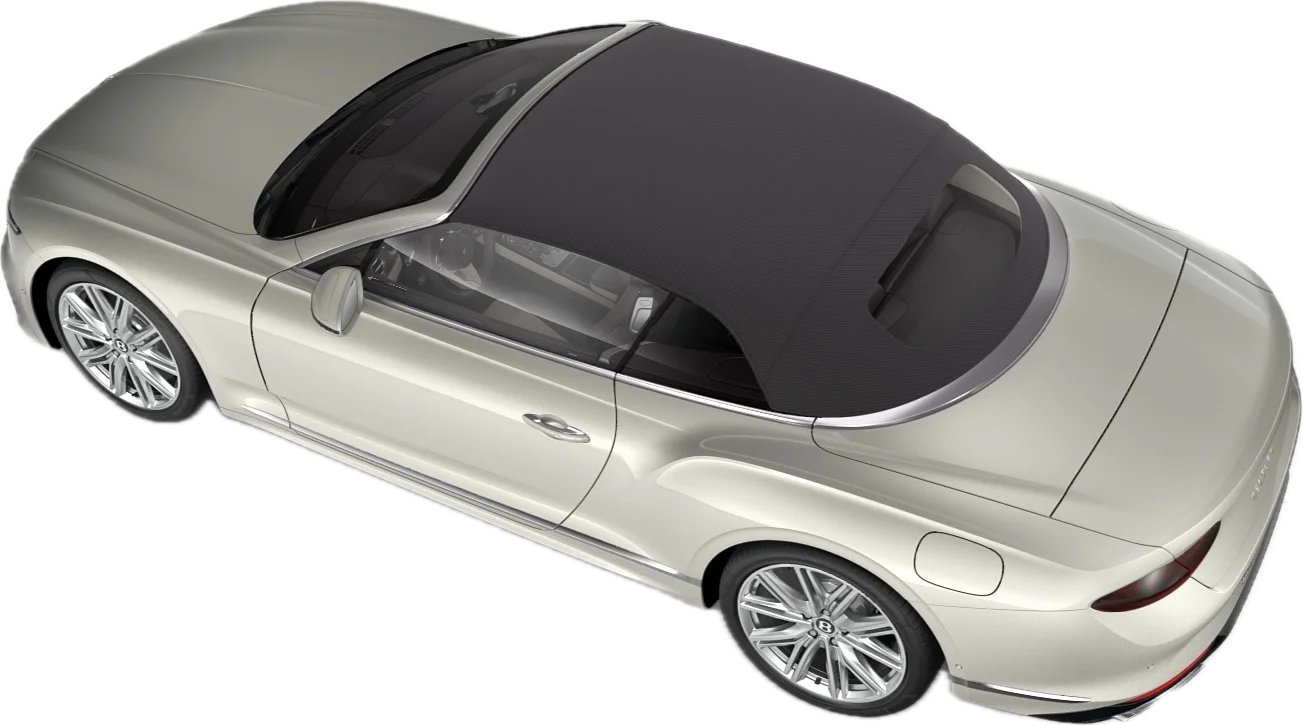 Dark Grey Metallic (Roof Exterior)