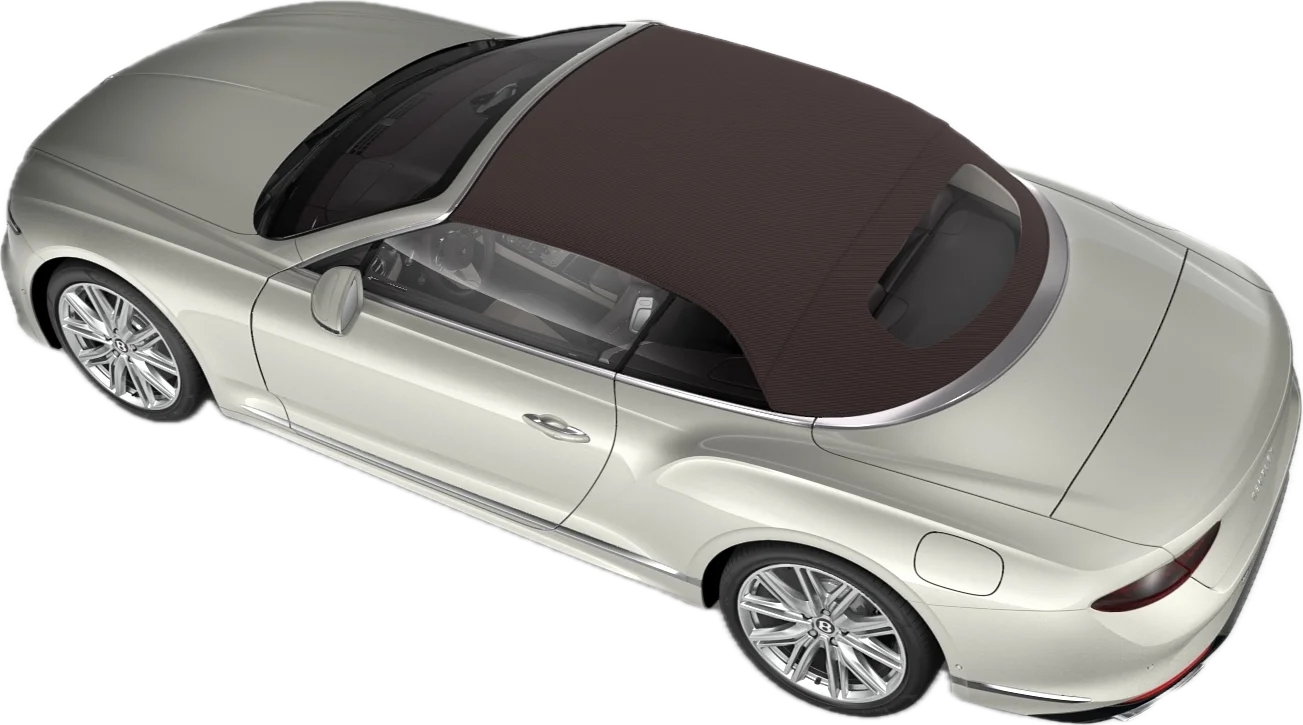 Dark Brown (Roof Exterior)