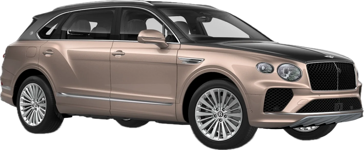 Magnetic over Rose Gold (Duo-tone)