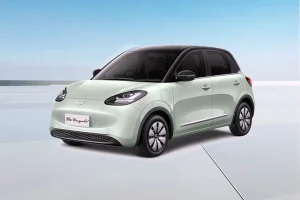 Wuling New Binguo EV